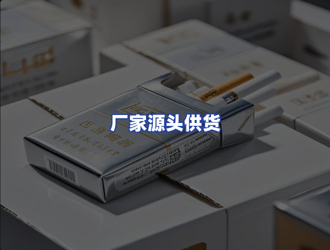 专业团队